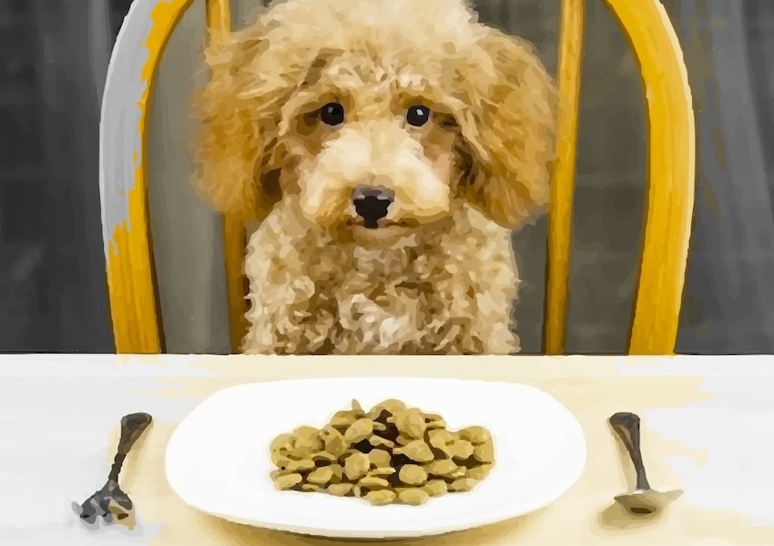 Pourquoi je n’arrive pas à changer (même quand je comprends mes schémas) ?