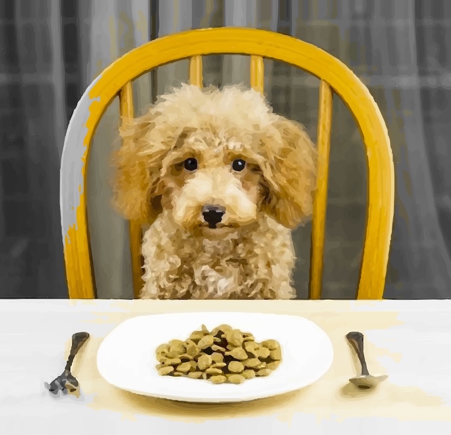 Pourquoi je n’arrive pas à changer (même quand je comprends mes schémas) ?